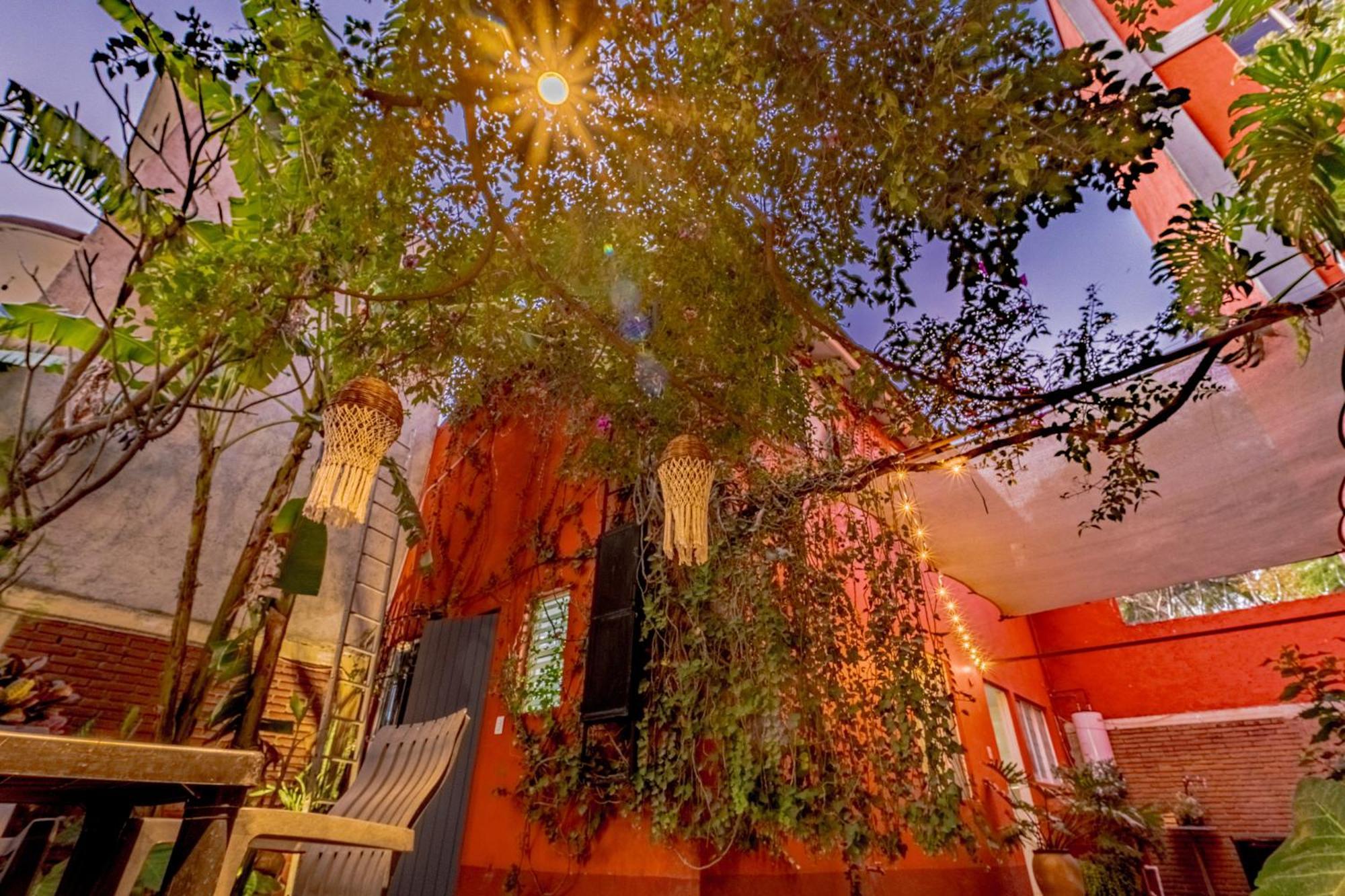 Casa Guanab Guest House Oaxaca Extérieur photo